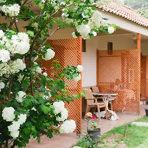  Pansiyon Village Garden Türkiye